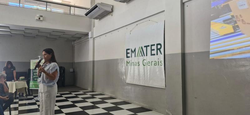 Foto de galeria